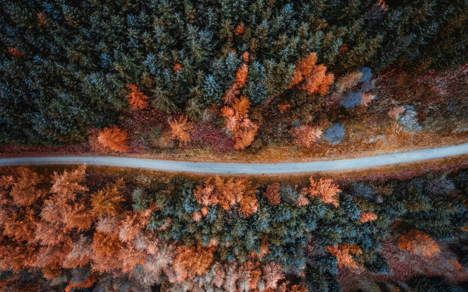 backgroundPicture